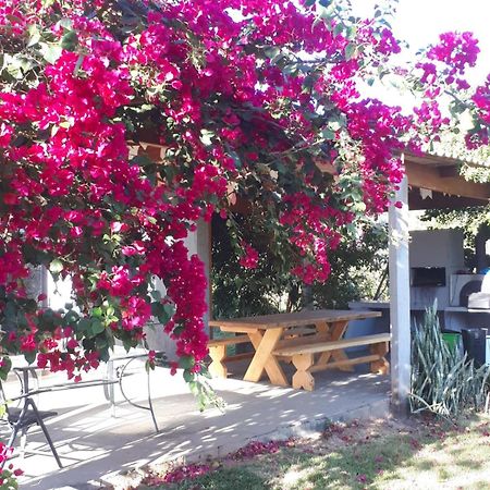 Reserva Jasmim Manga Villa ปิเรนนอโปลิส ภายนอก รูปภาพ